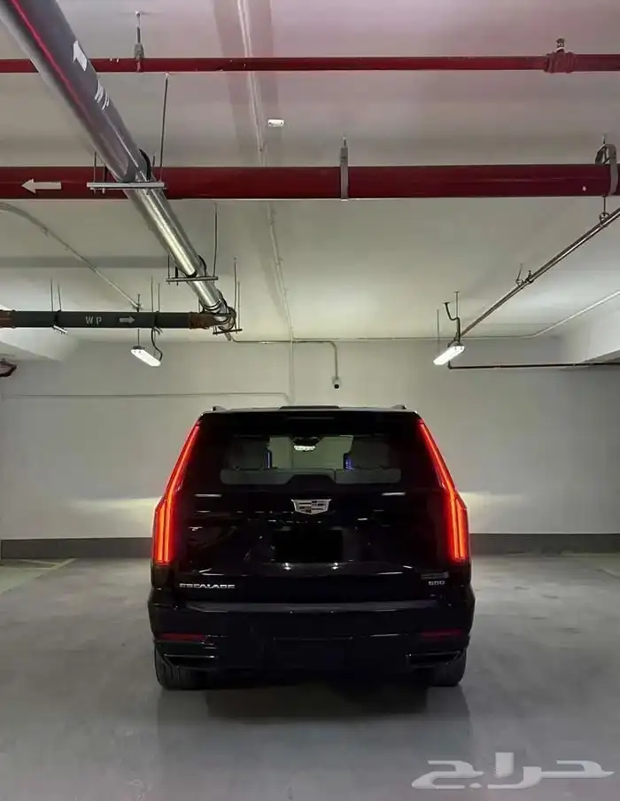 اسكاليد الجميح 2025 5