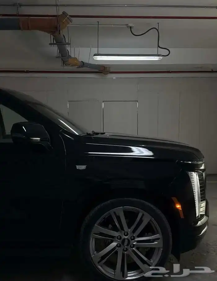 اسكاليد الجميح 2025 6