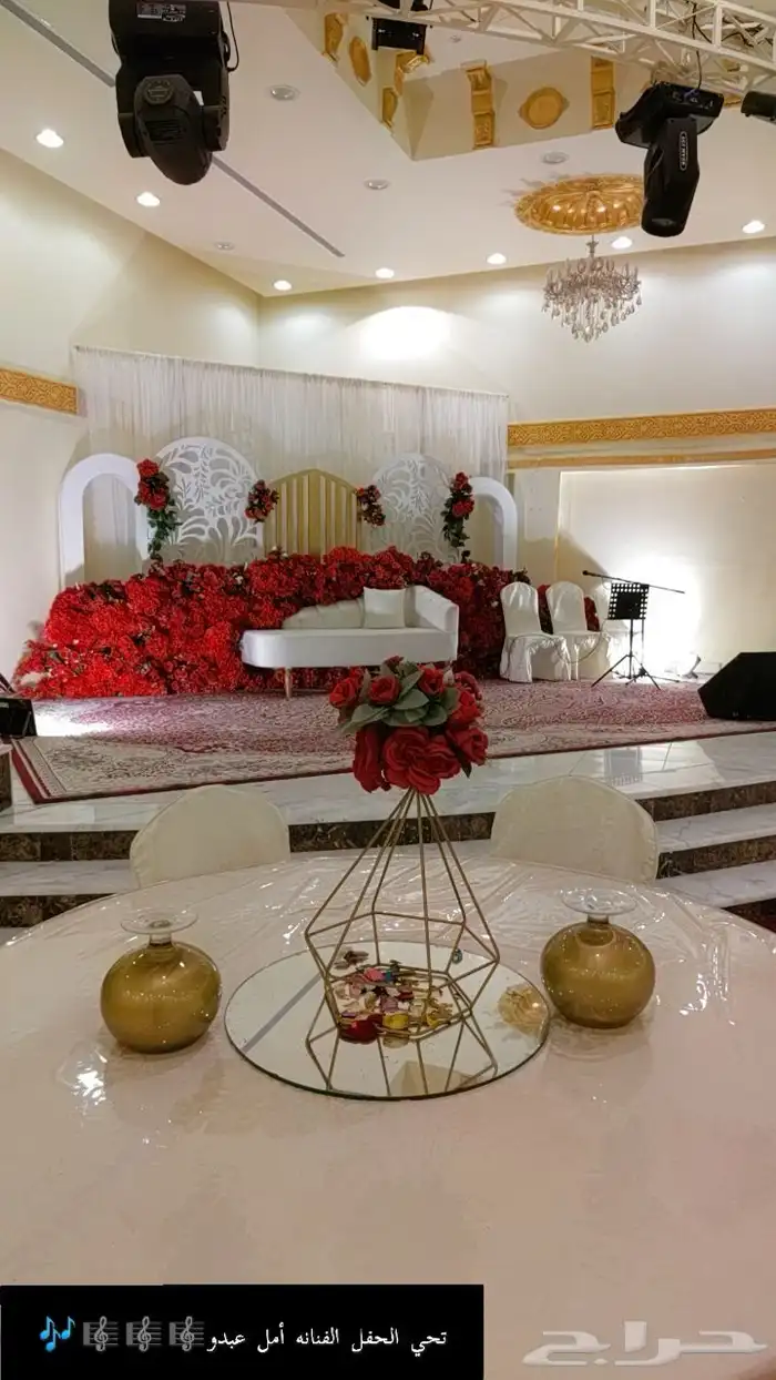 تنسيق حفلات 14