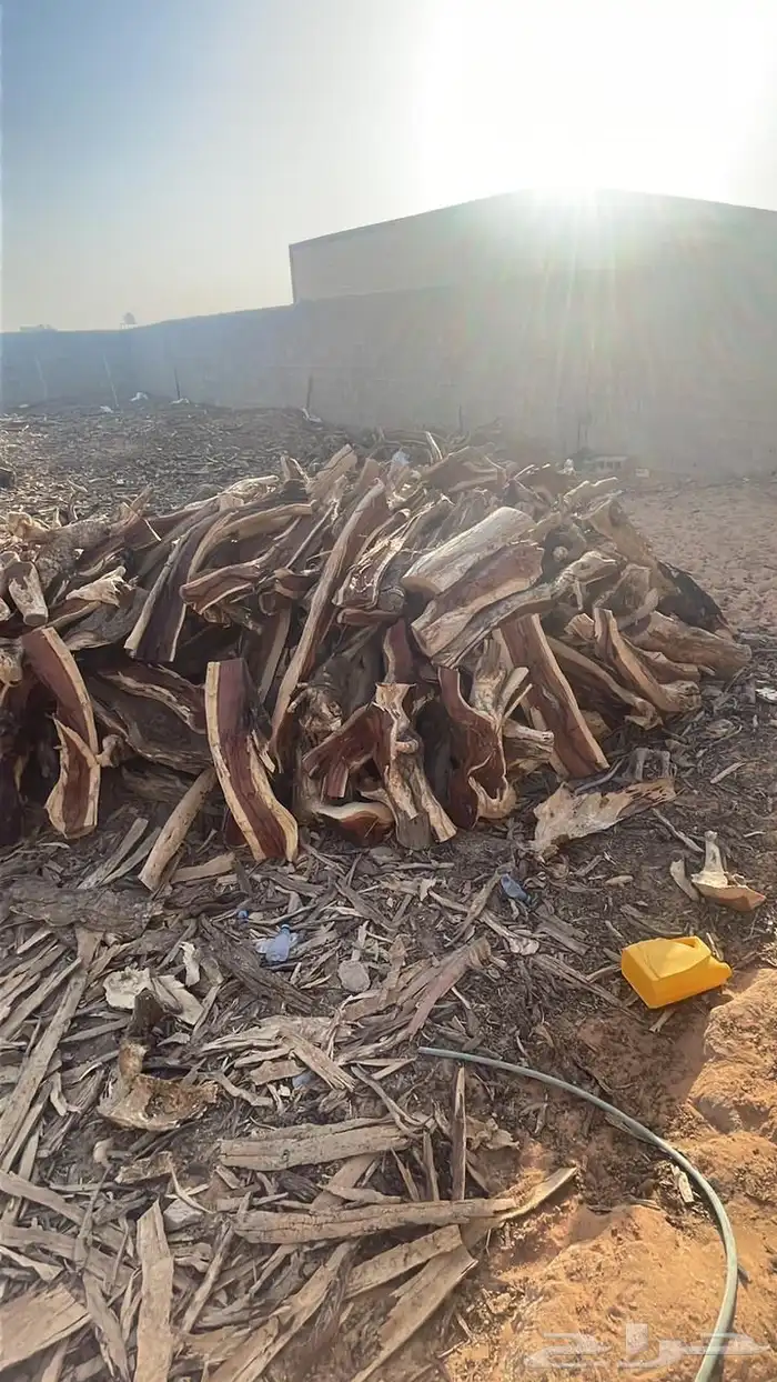 يابس على الشرط 1