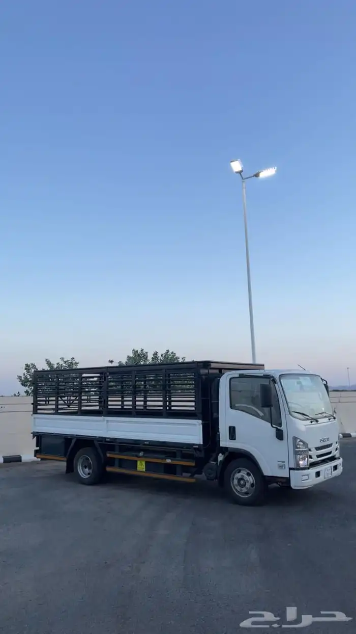 دينا2025 صندوق اصفار للإيجار 2