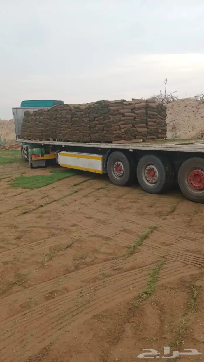 ثيل طبيعي درجه اولى مشروط مضمون 6