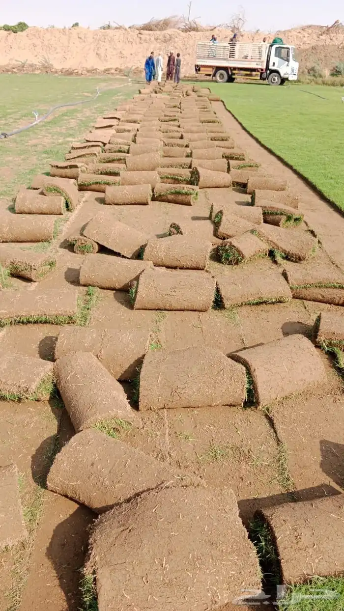 ثيل طبيعي درجه اولى مشروط مضمون 9