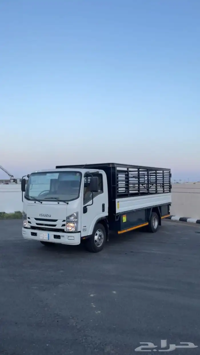 دينا2025 صندوق اصفار للإيجار 0