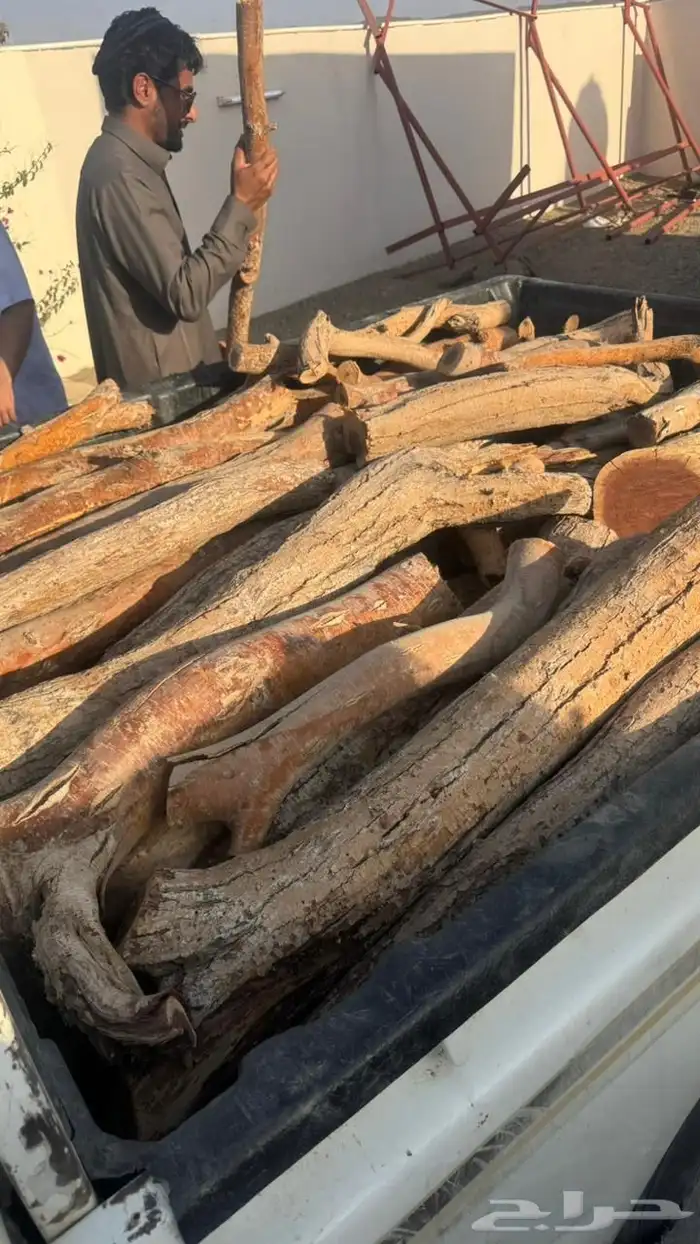 حطب مستورد سمر 1