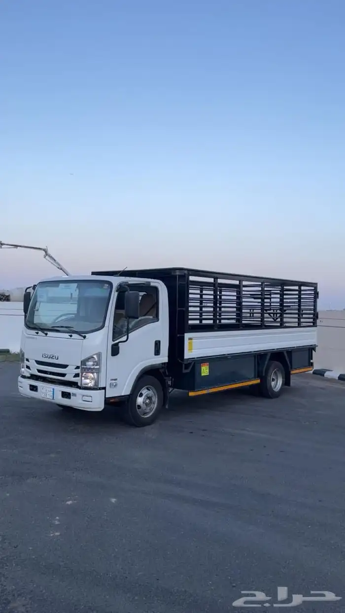 دينا2025 صندوق اصفار للإيجار 1