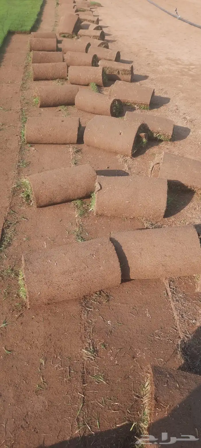 ثيل طبيعي درجه اولى مشروط مضمون 1