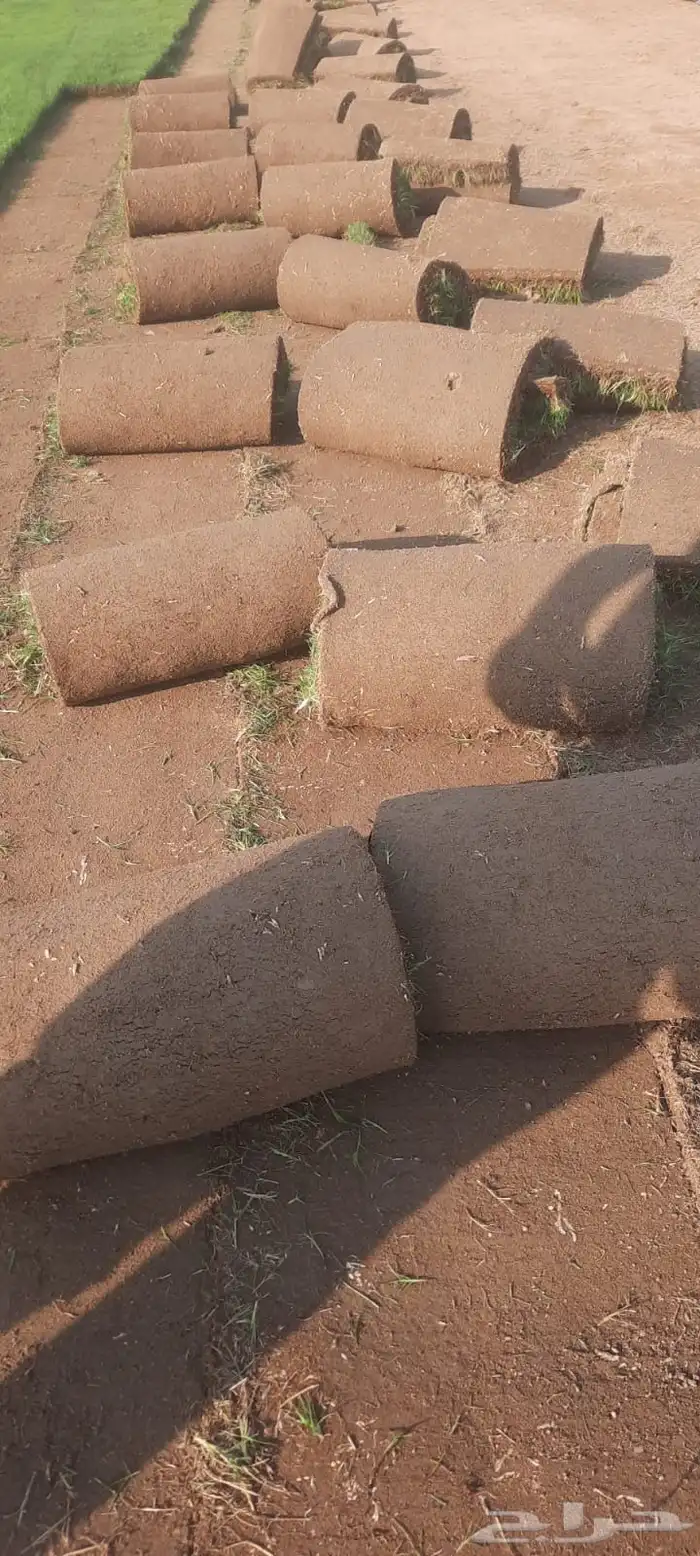 ثيل طبيعي درجه اولى مشروط مضمون 2