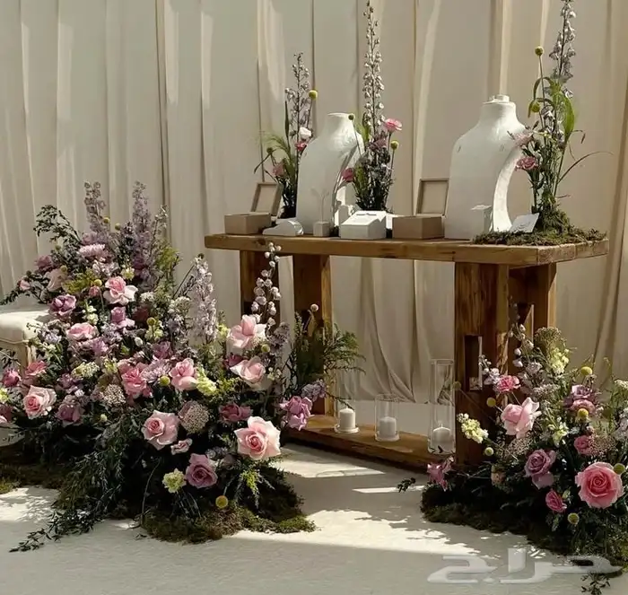 كوش منسق كوش مداخل 2