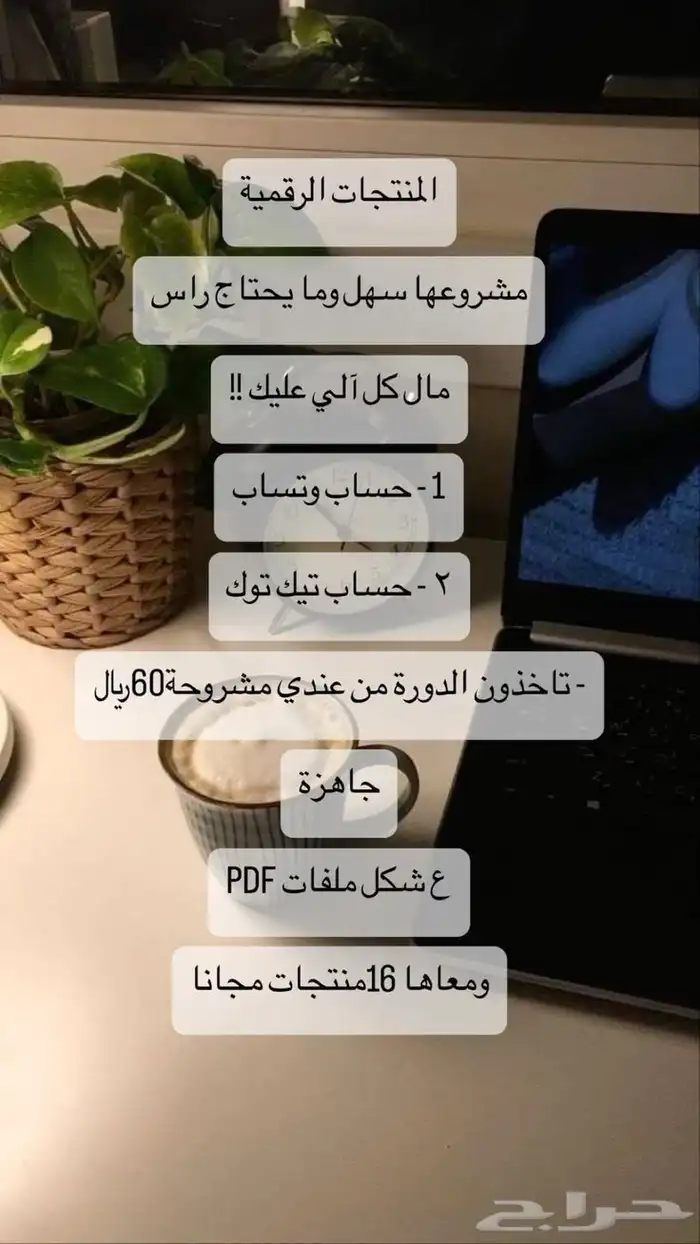 للي مهتمين بتجاره الاكترونيه 0