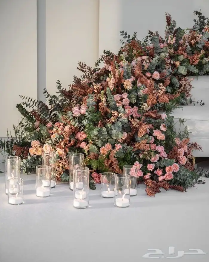 كوش منسق كوش مداخل 0