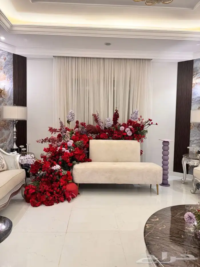 كوش منسق كوش مداخل 7