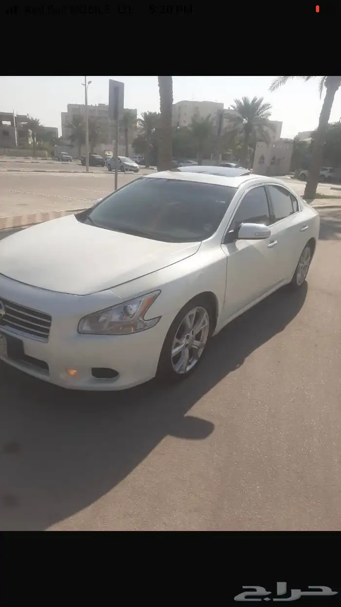 نيسان مكسيما 2014 0