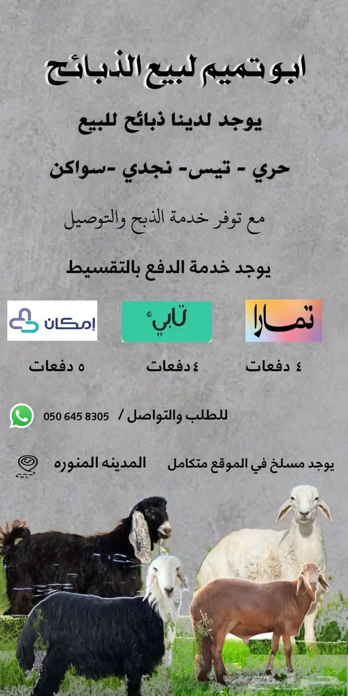 طليان وتيوس مخاصي و سواكن ذبائح للبيع كاش وتمارا مع الذبح و 25