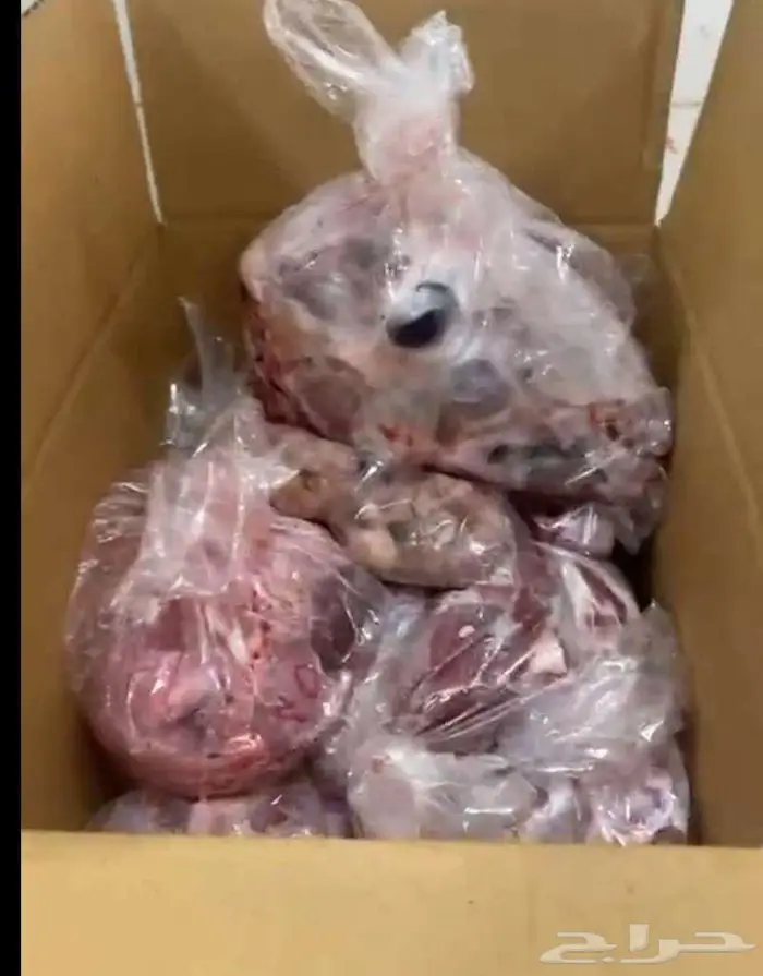 خرفان حري و سواكني ثلاجه طبخ 1100 للحري 850 سواكني 10