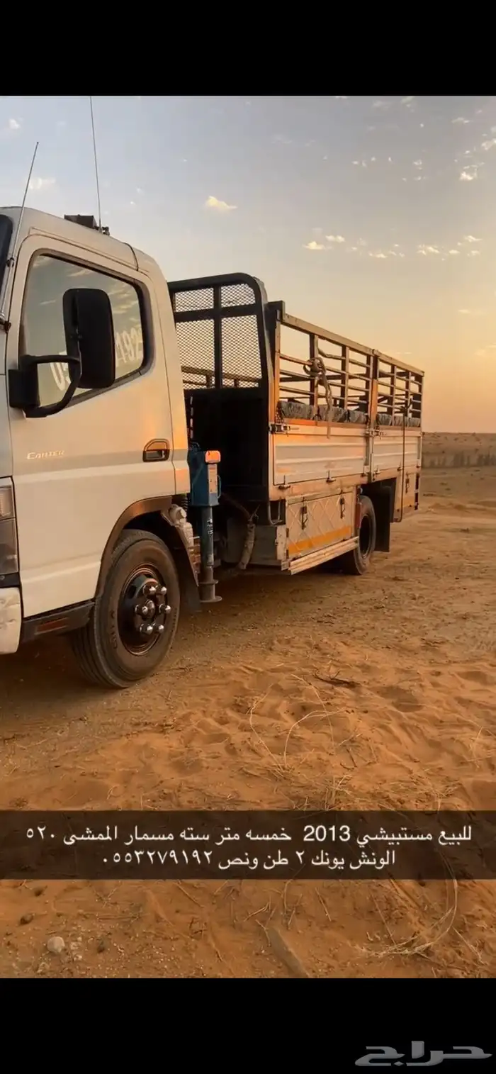 دينا مستبيشي 0