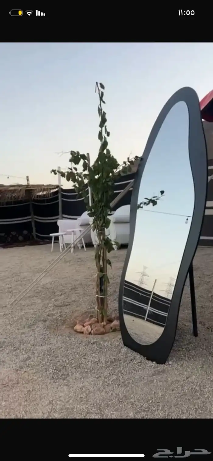 مخيمات المدينه 0