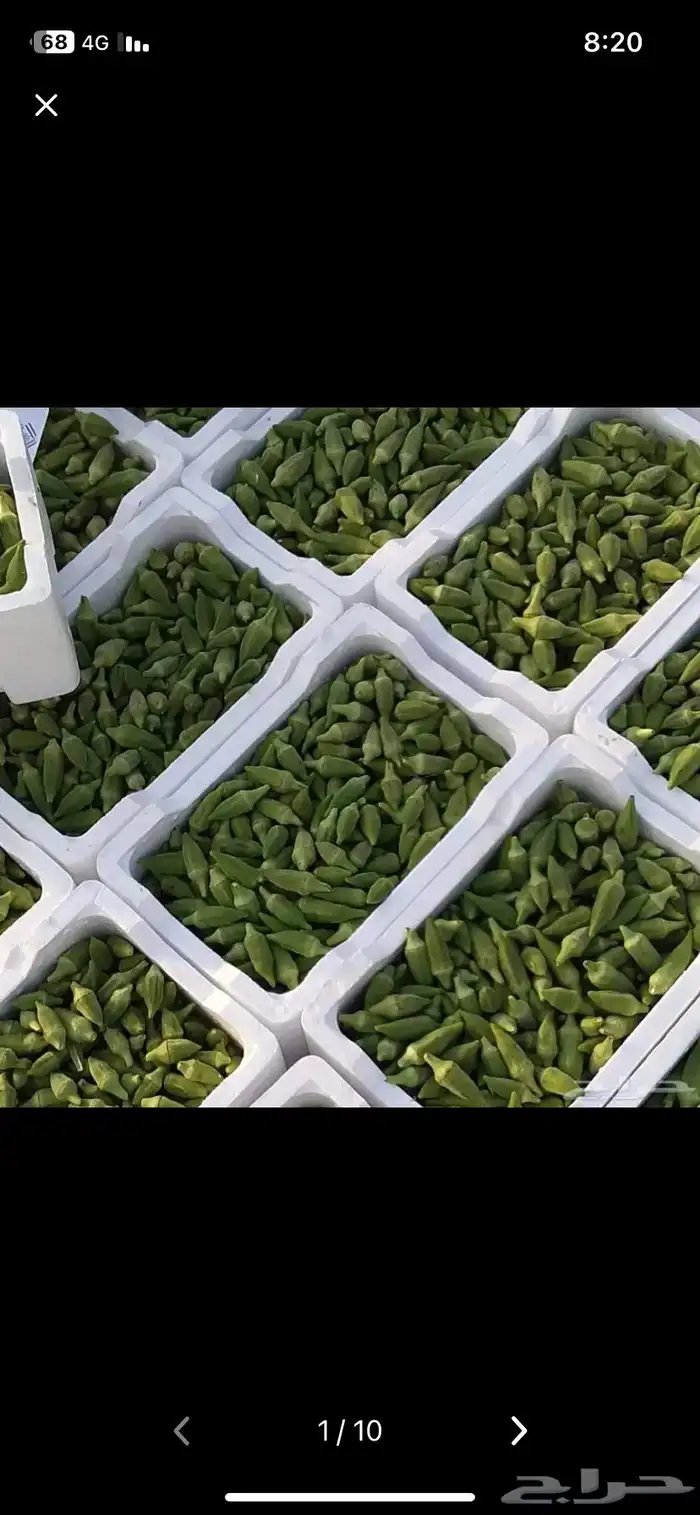 توزيع خضار وفواكه 0