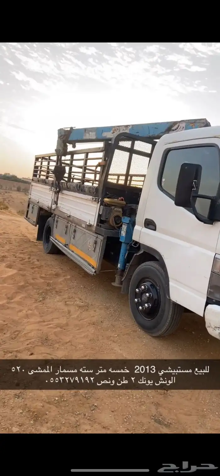 دينا مستبيشي 1