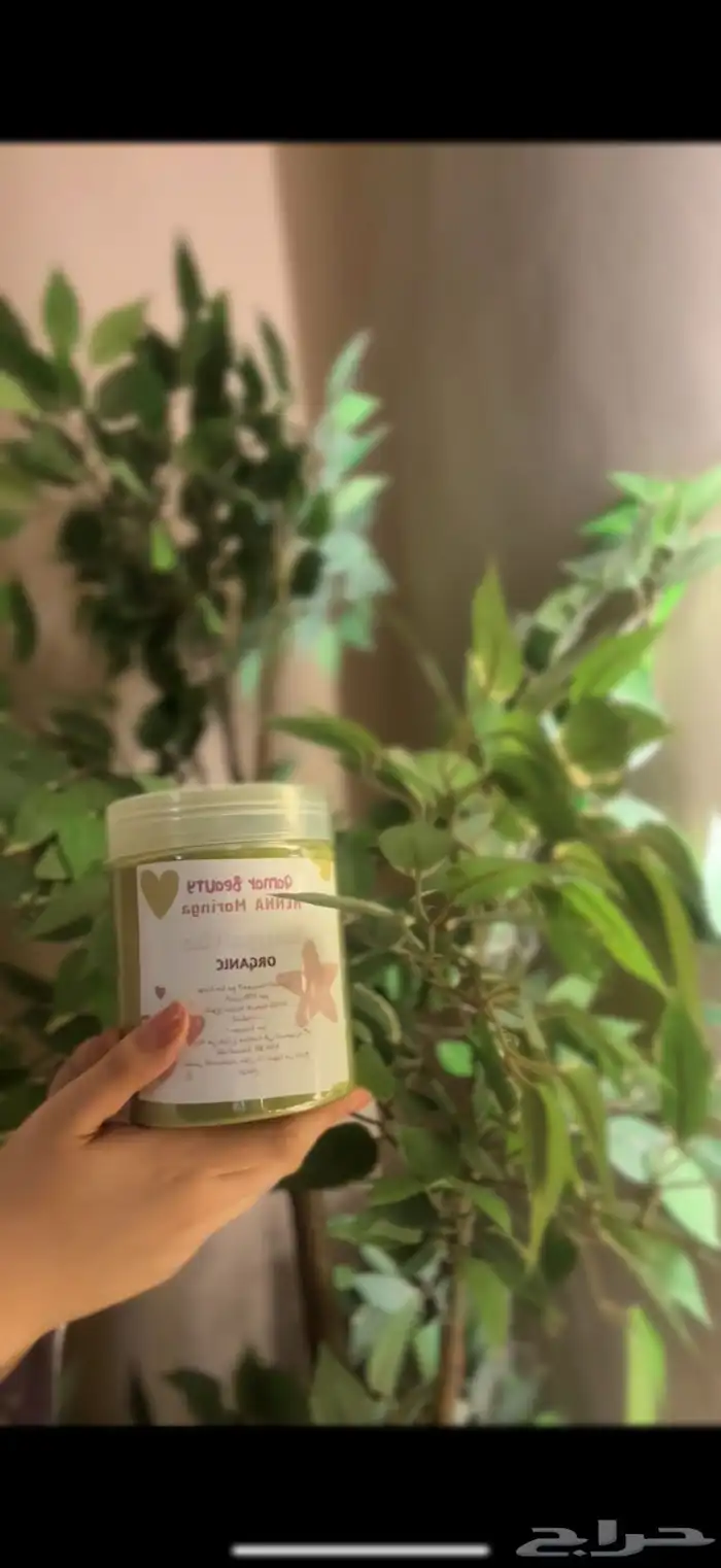 حنا المدينه مع مورينجا عضويه جاهزه للبيع 1