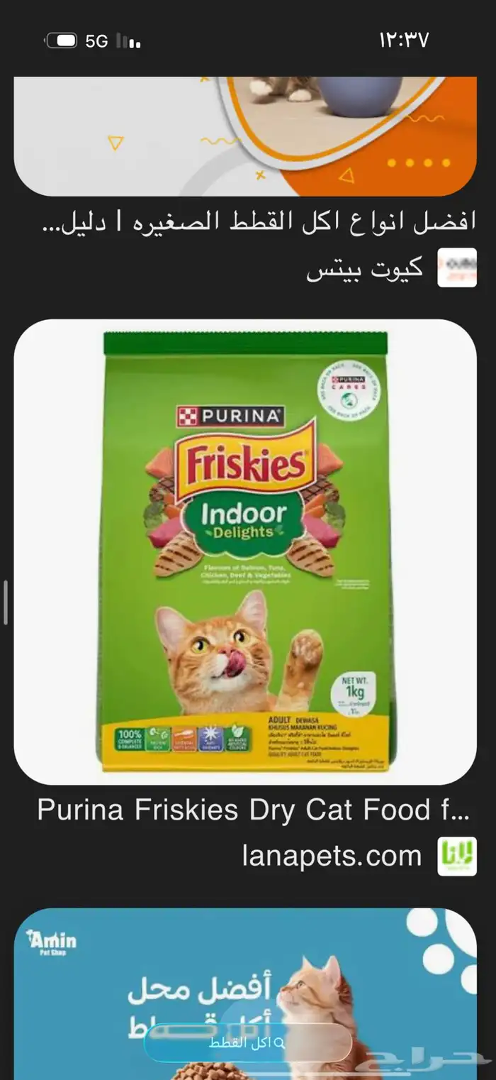 قطط للبيع والتبني 4