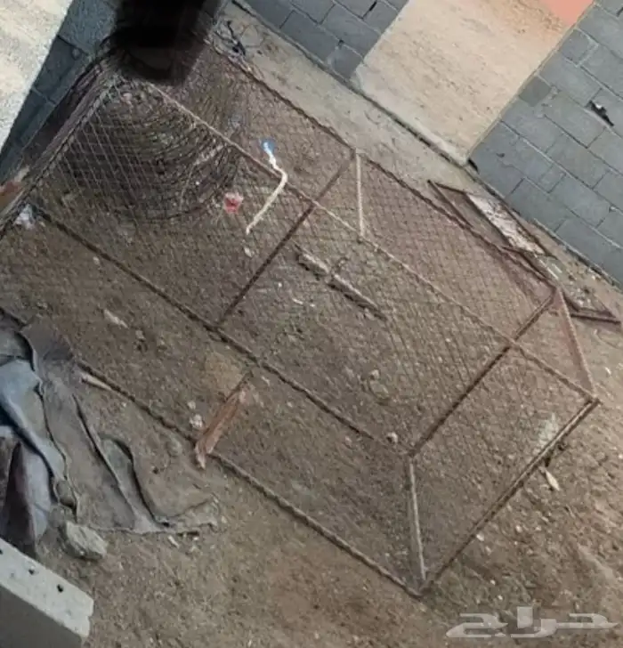 للبيع شبك خالي من الكسور ونظيف الطول 2 والعرض 1 0