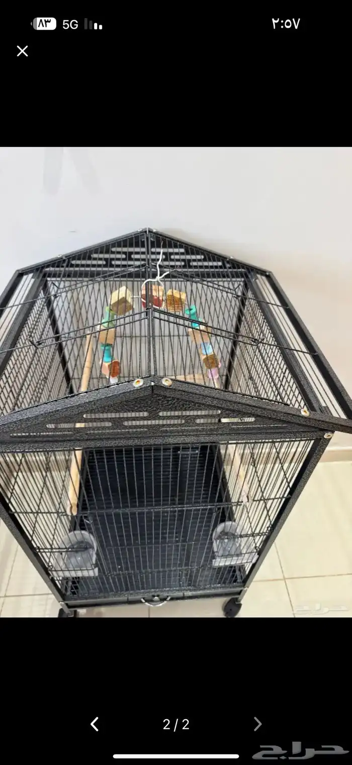 قفص طيور 1
