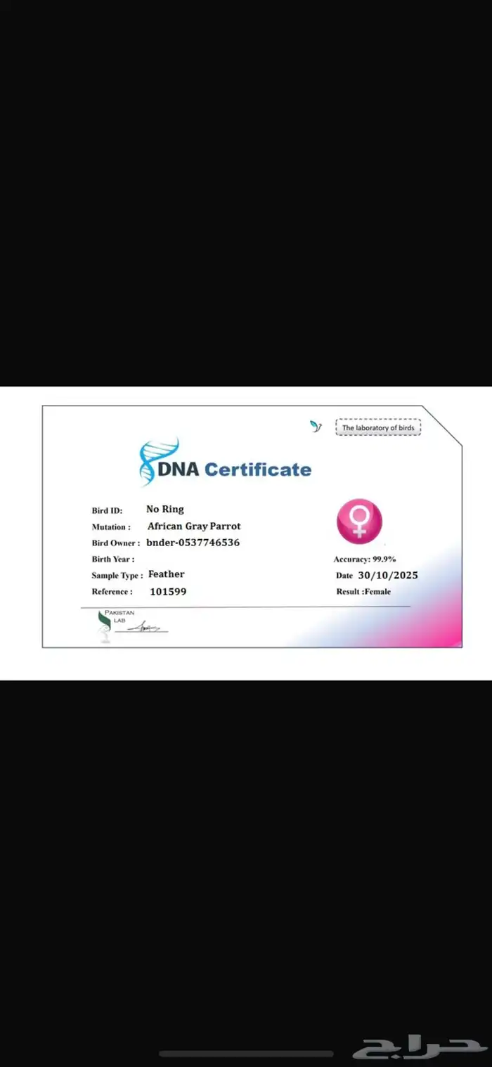 للبيع كاسسكو 2