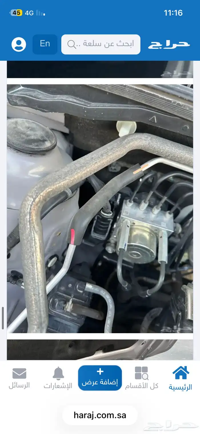 يارس 2023 عبداللطيف جميل فئة ال Y 56