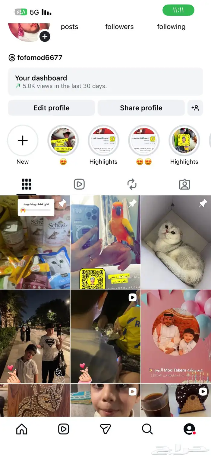 اوتيل قطط جدة. و طيور 0