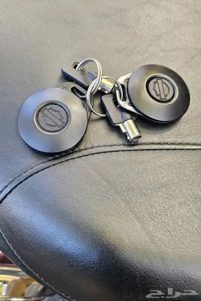 HARLEY DAVIDSON SOFTIAIL ( DUECE ) 100th ANNIVERSARY 2