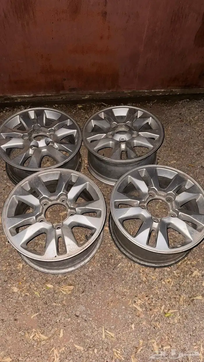 جنوط جكسار يركبن ع ربع نظيفات 1