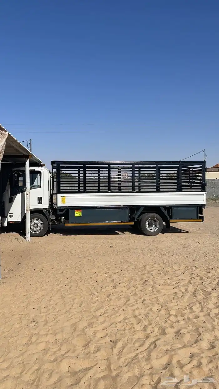 دينا2025 صندوق اصفار للإيجار 10