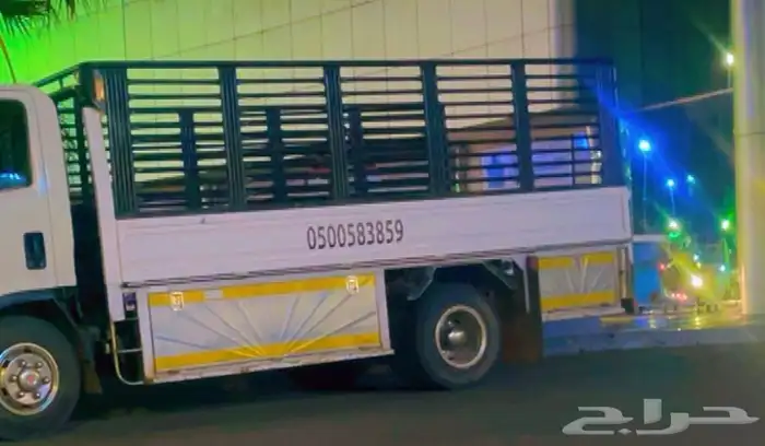 صندوق شبك دنه دينا 4 ونص 1