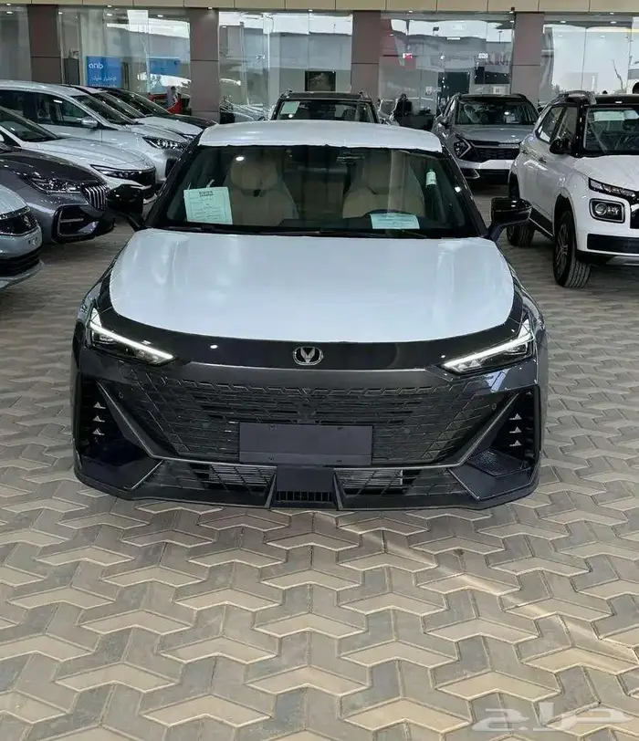 شانجان يونى فى ايليت 2026 اصفار المجدوعي 4