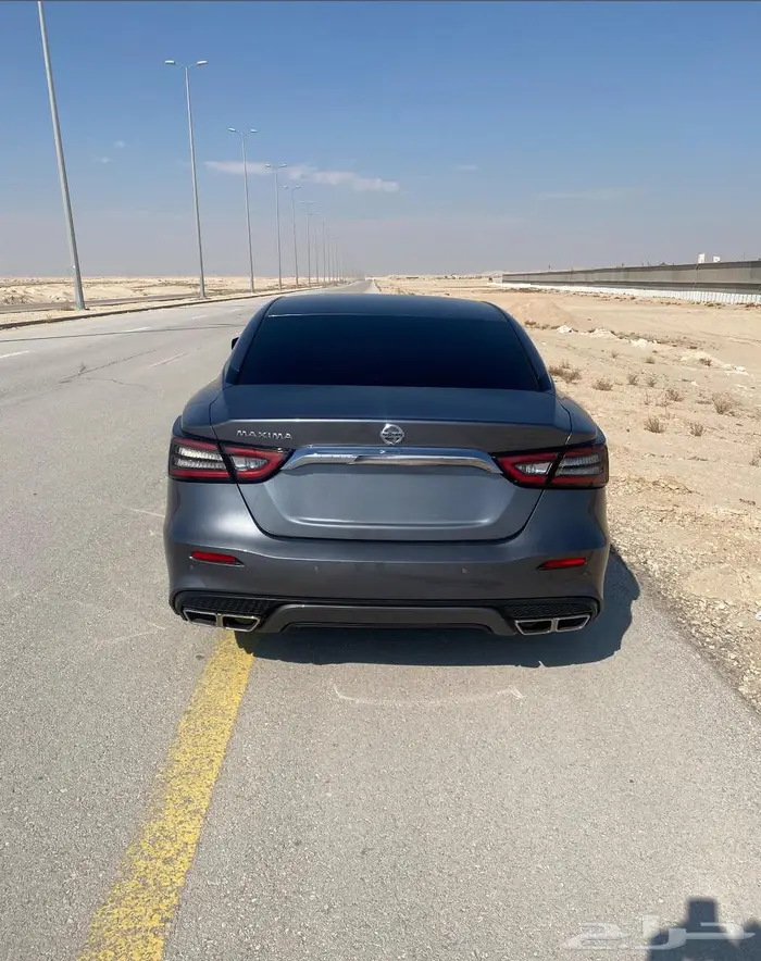 مكسيما ستاندر 2022 1