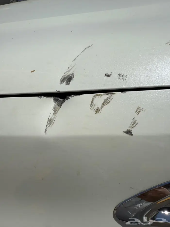 باترول بلاتينيوم 2