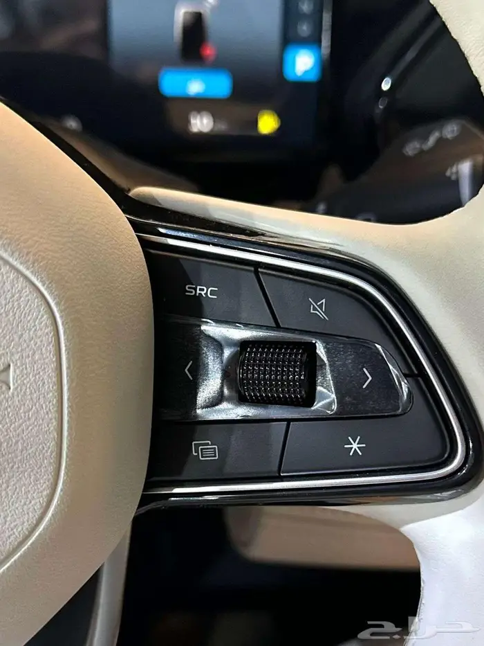 جيلي مونجارو فل كامل 2024كاش معتمدين لدى جميع البنوك 10