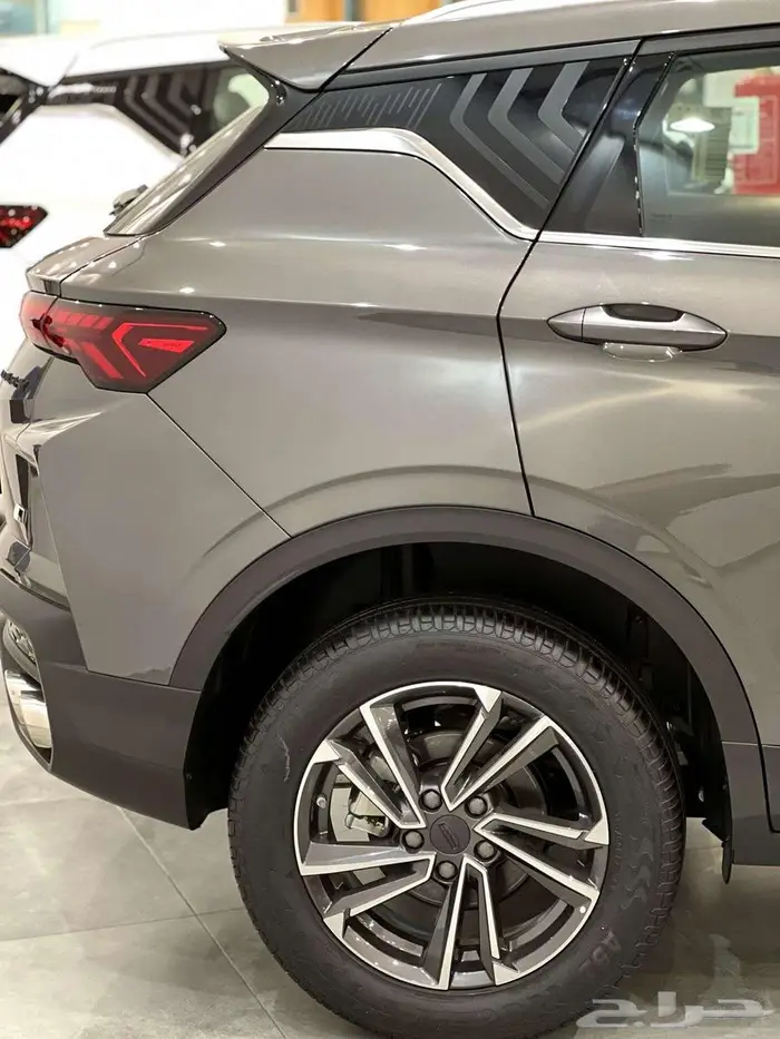 عرض حصري على كولراي ستاندر 2025 5