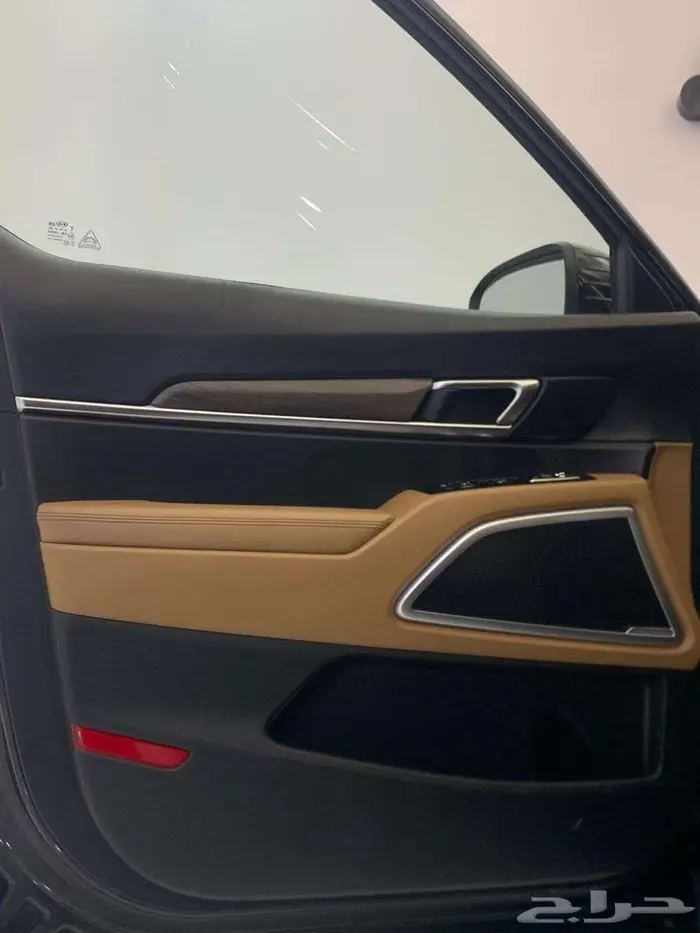 كيا تيلورايد EX V6 2020 29