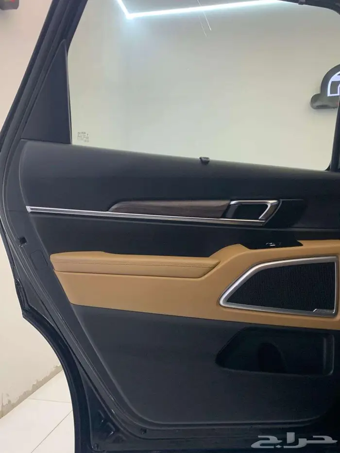 كيا تيلورايد EX V6 2020 31