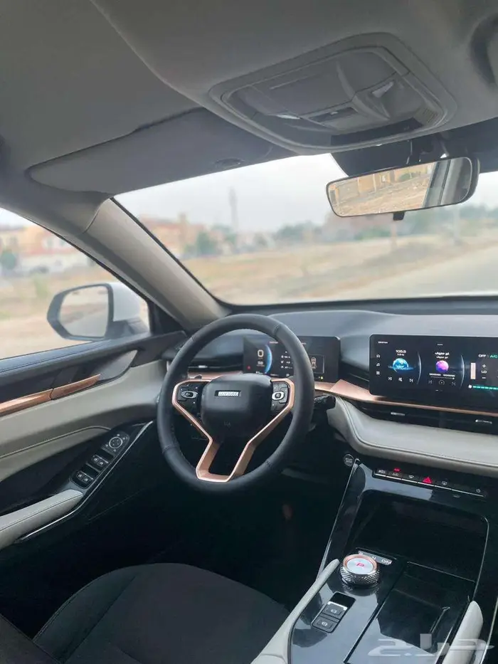 هافال أتش 6 2022 Haval H6 7