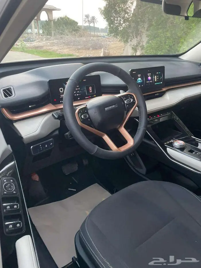 هافال أتش 6 2022 Haval H6 8