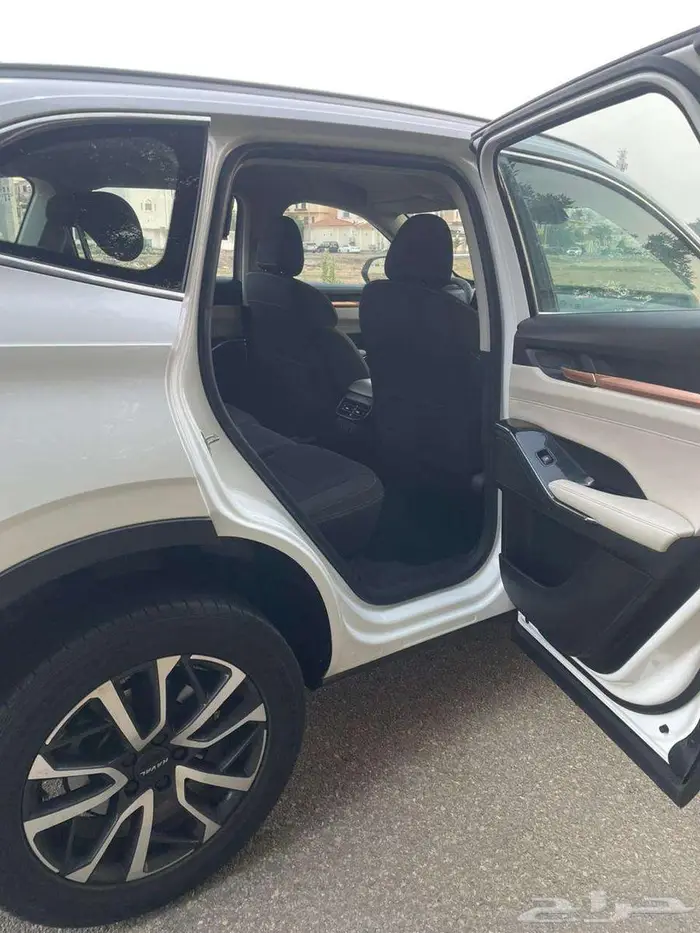 هافال أتش 6 2022 Haval H6 10
