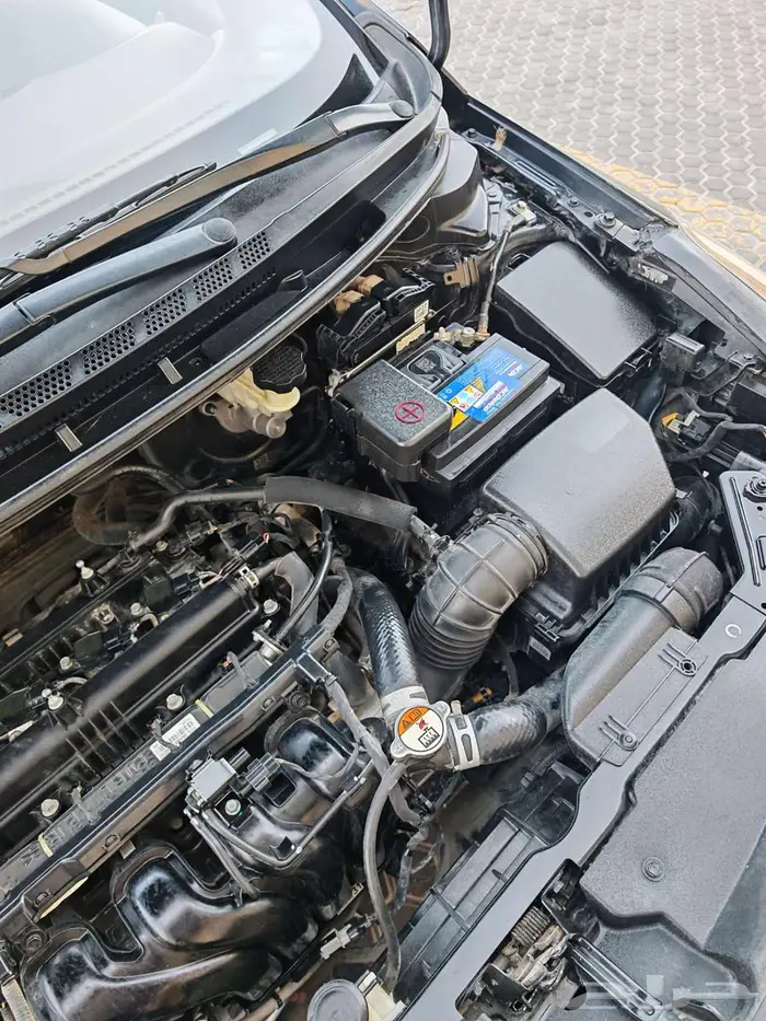 كيا سيراتو 2017 في قمة النظافة 20