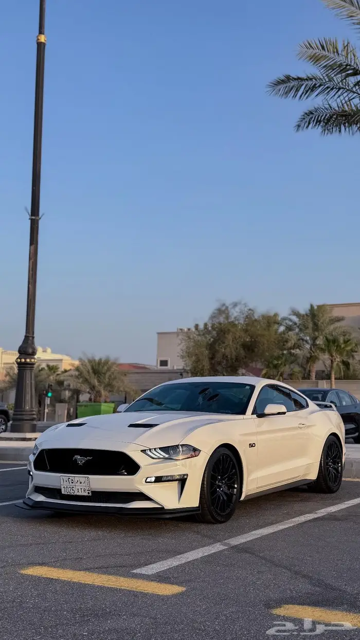 موستنج جي تي برفورمنس بكج 2019 0