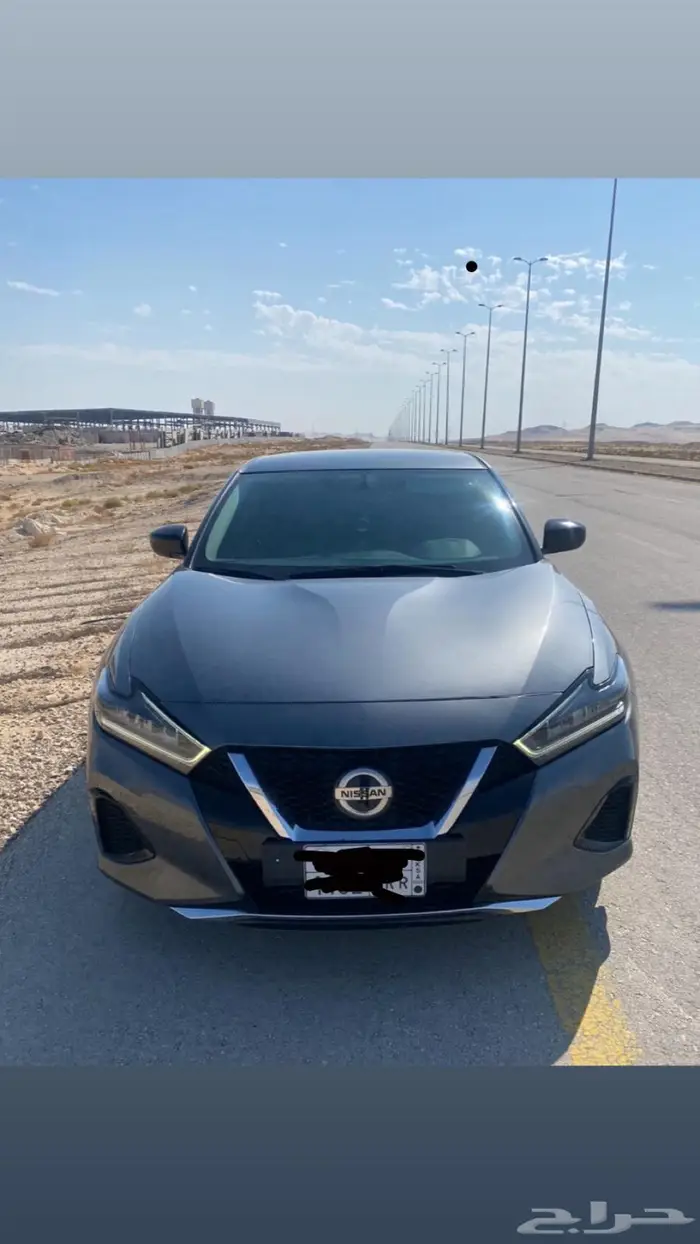 مكسيما ستاندر 2022 0