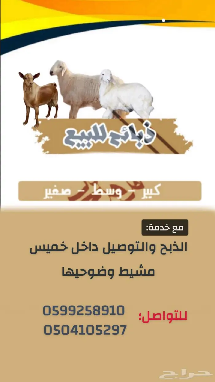 ذبايح للبيع معا السلخ والتوصيل 0
