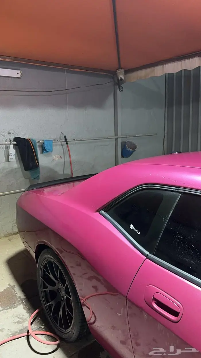 دودج تشالنجر 2010 furious fuchsia 2