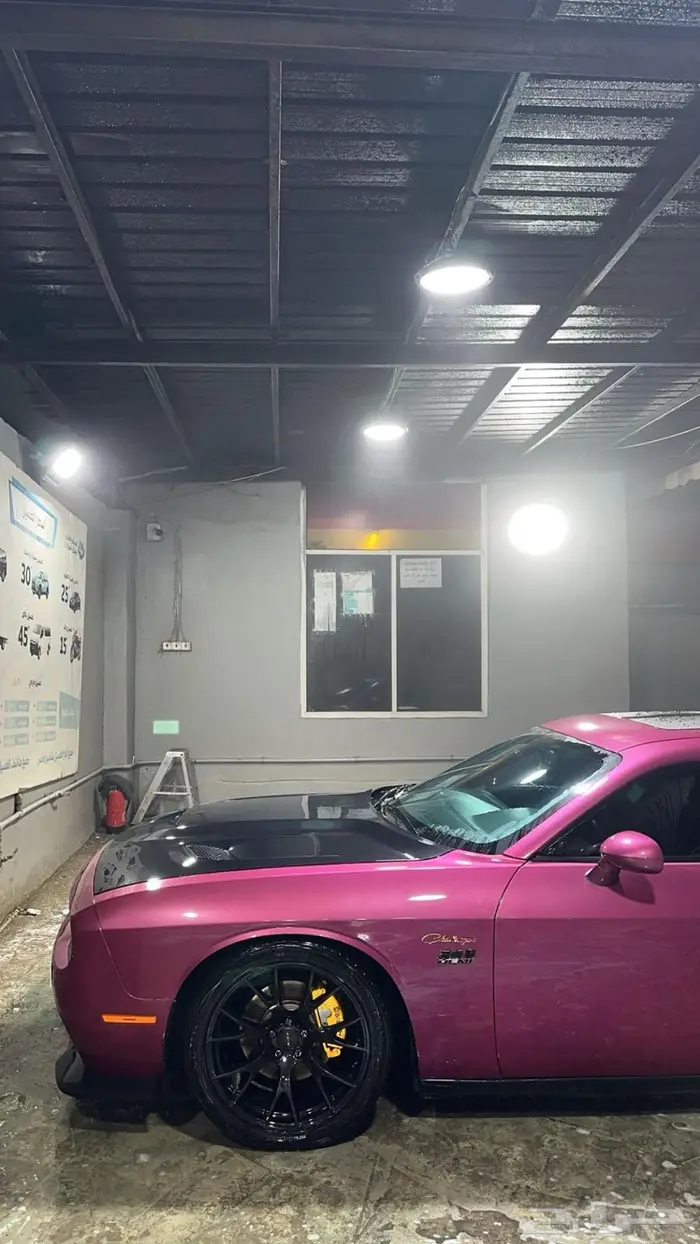 دودج تشالنجر 2010 furious fuchsia 4